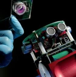 Robot with Rat Brains Learns to Avoid Obstacles; Holy Crap, a Robot with a Rat's Brain