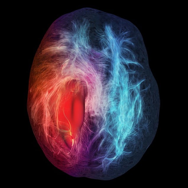 The Year's Best Visualizations of Scientific Concepts