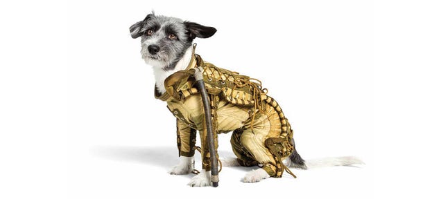 You Can Buy This Adorable, Original Soviet Spacesuit For Your Dog