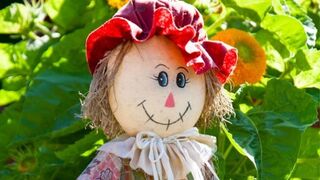 Man Found Dead in the Arms of His Lover, a Scarecrow in a Wig