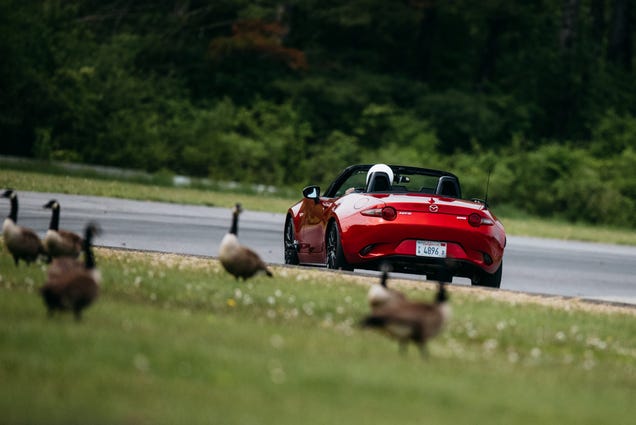 The 2016 Mazda Miata Will Save The Sports Car