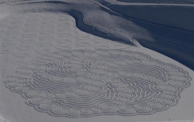 Crop circles found in the snow