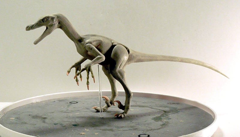 Hay muchas figuras de velociraptores, pero solo estas..
