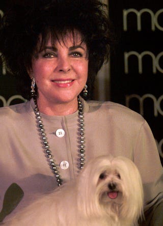 Elizabeth Taylor's Life In Front Of The Camera