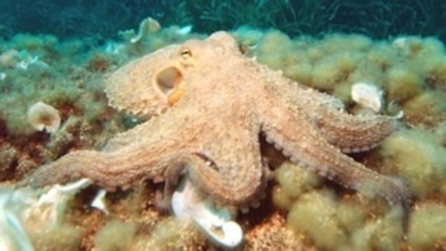 io9 Roundup: September 18, 2011