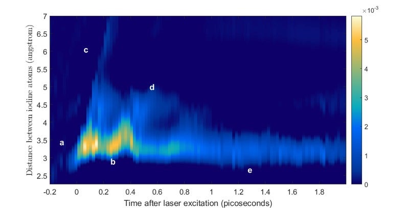 Breakthrough Quantum Cat Experiment Captured on Camera