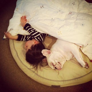 These Photos of an Adorable Little Boy and His French Bulldog Buddy Single-Handedly Justify the Existence of Instagram