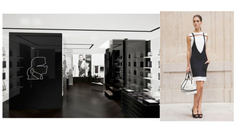 Lady Gaga Tells Cathy Horyn and Her Boyfriend to 'Suck My Dick'