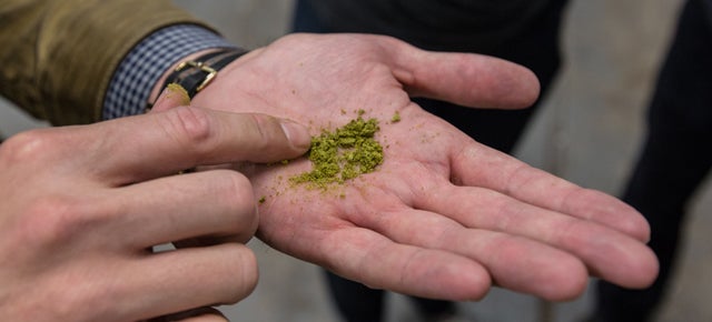 Drinking Experimental Hops in the Sixpoint Beer of the Future