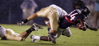 Idaho Vandals Prefer Their Asses Logo Free