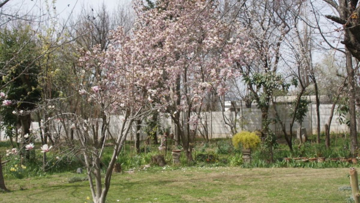 Abbottabad Gamer Likens Bin Laden Raid to Call of Duty, Town to Smallville