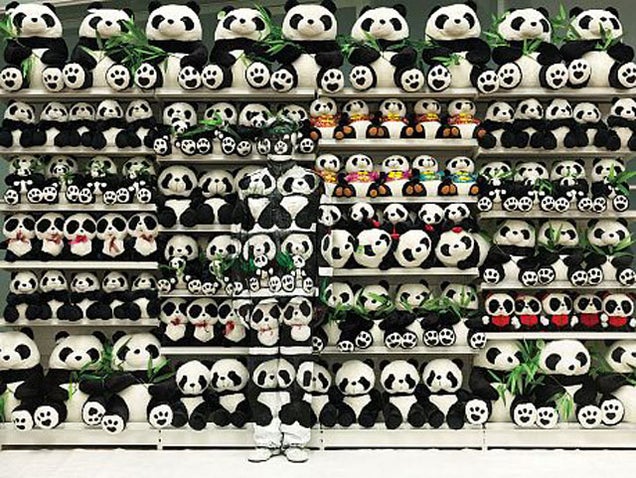 The 100 Most Astonishing Images of 2012