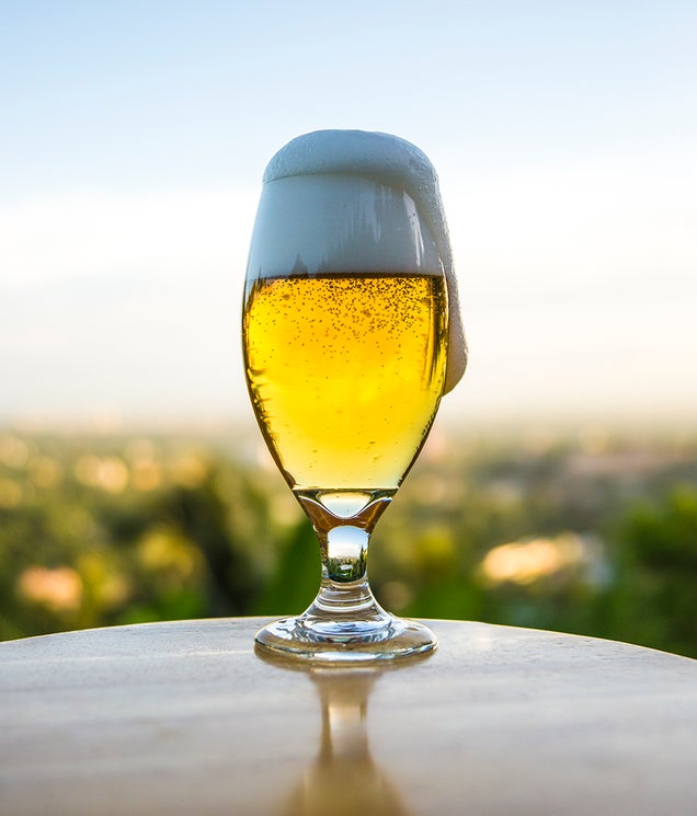29 Sudsy, Seductive Photos of Beer