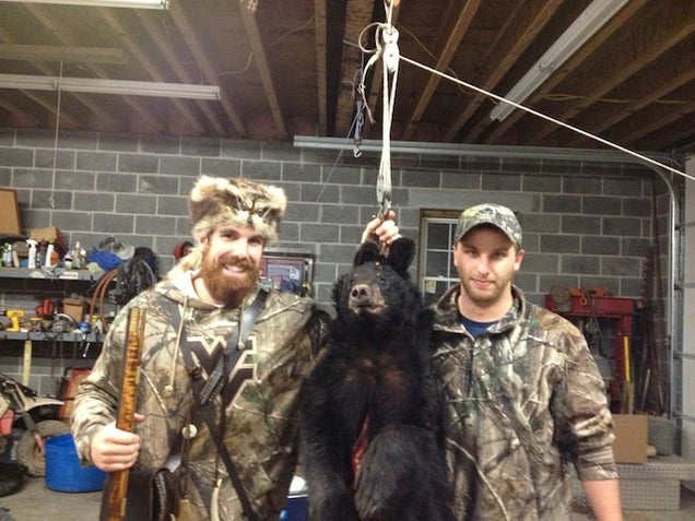 West Virginia Student Mascot Shoots A Bear; Bear Falls Out Of A Tree; Everyone Hollers