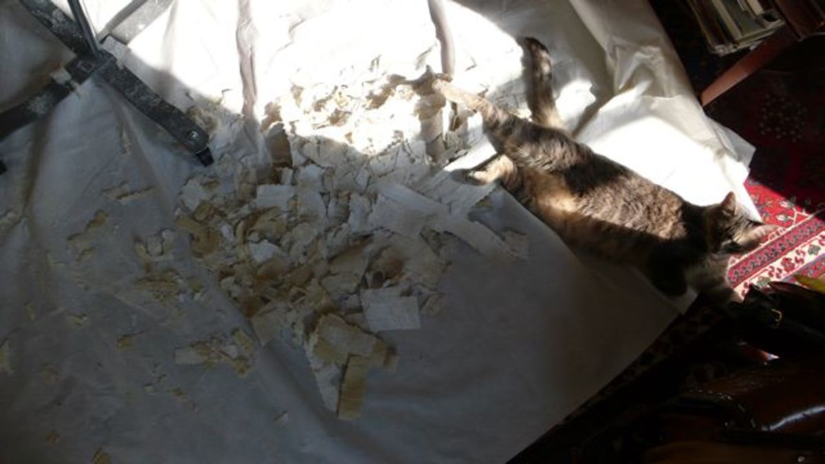 How To Make A Custom Dress Form: Part Two