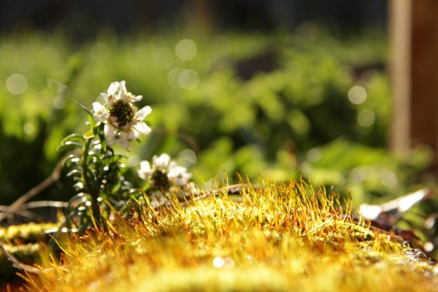 Shooting Challenge: Spring Gallery 2