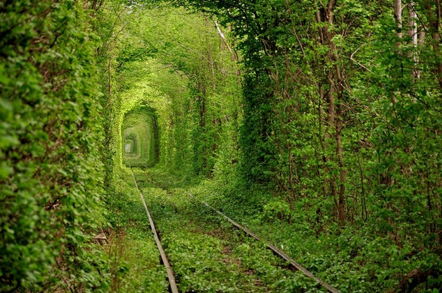 These Extraordinary Tunnels Look Like Gateways to Other Worlds
