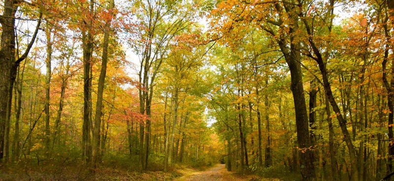 48 Photos Of Autumn Around The World