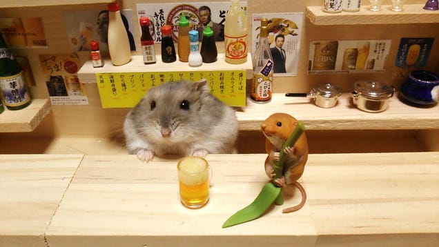 Hamsters japoneses =^_^=