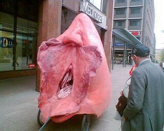 Giant Vulva Bicycle Taxi Is Freudian Wet Dream