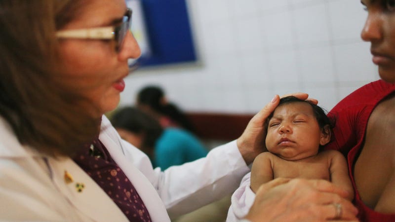 New Studies Confirm Suspected Link Between Zika Virus and Birth Defects