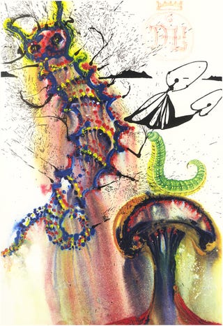 What did Salvador Dalí's Alice in Wonderland look like?