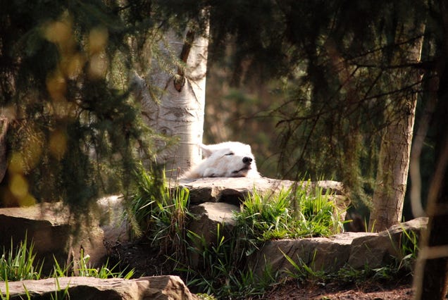 Shooting Challenge: Spring Gallery 1