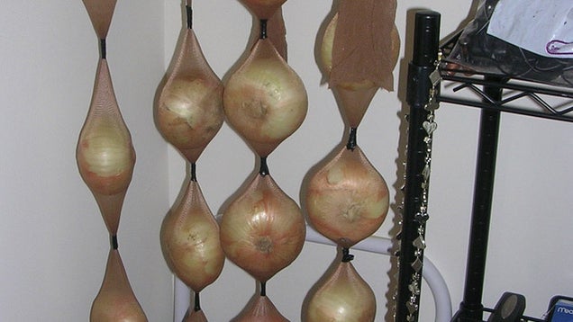 Onions In Pantyhose And 85