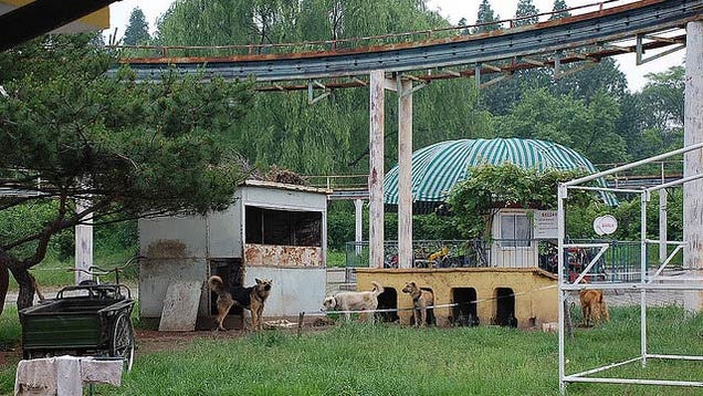 The Happiest Place in the Saddest Place on Earth Is Still Pretty Depressing