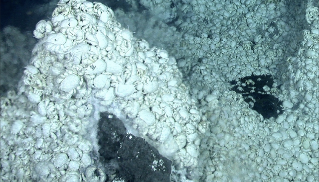 Lost World Discovered Under Antarctica