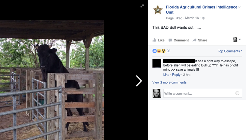 This Goofy Repository of Florida Farm Crimes Is My New Favorite Facebook Page