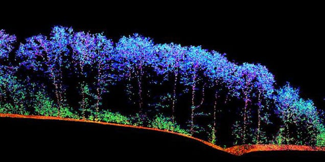 Researchers Are Scanning Forests With Lasers to Monitor Their Health