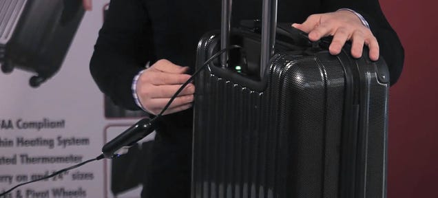Heating Elements Inside this Suitcase Kill Stowaway Bed Bugs