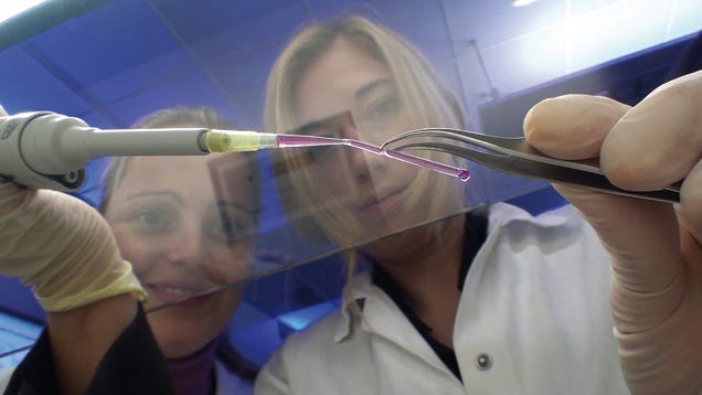 How 3D Printers Are Cranking Out Eyes, Bones, and Blood Vessels