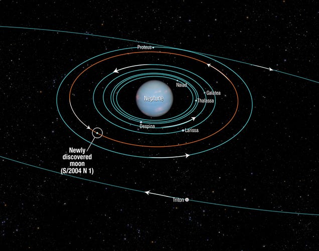 Hubble has spotted a previously undiscovered moon orbiting Neptune