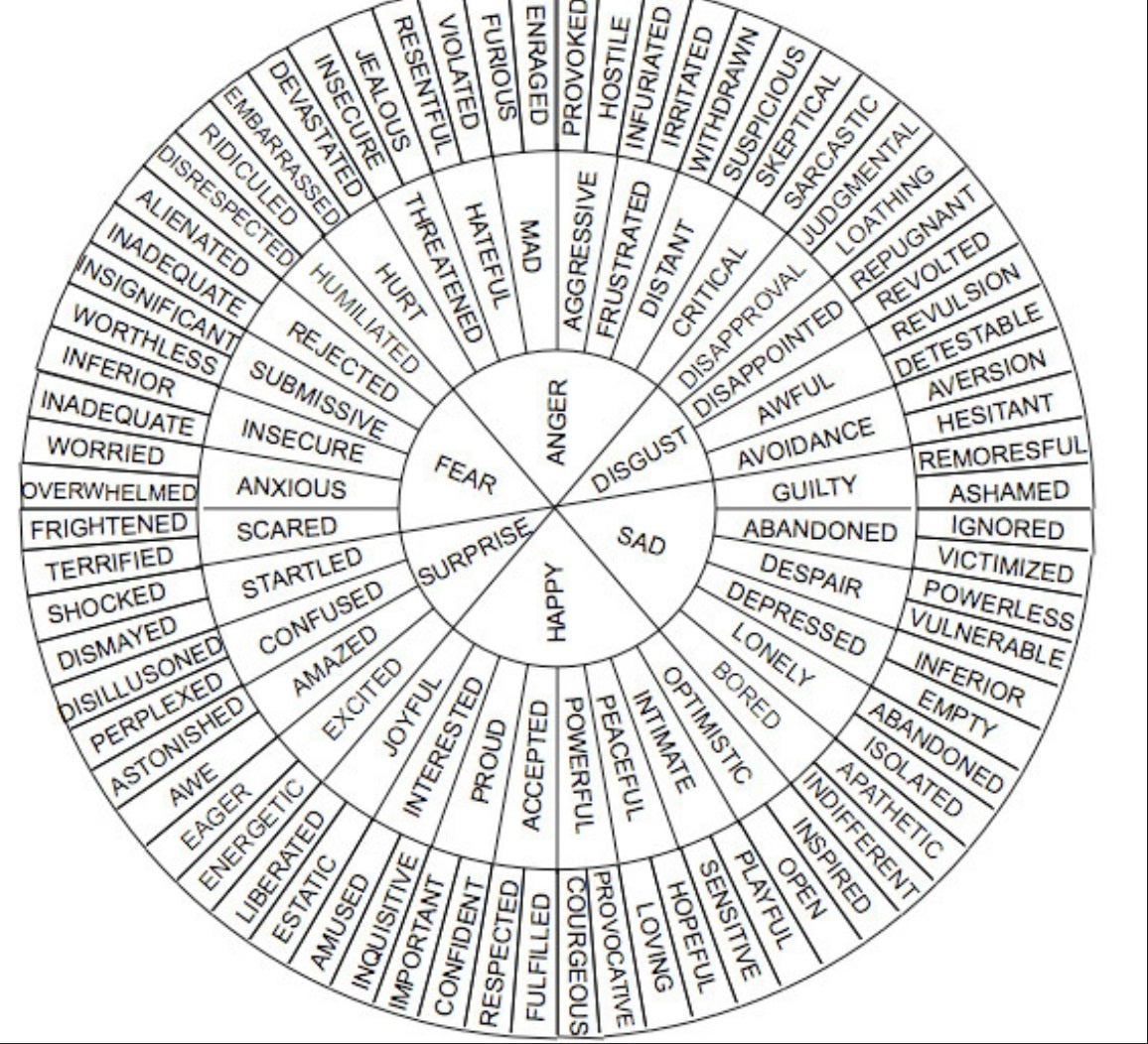 Wheel of words – emotions