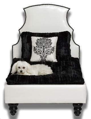 Gifts For Your Dog