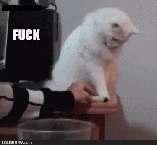 Kinja hates me today...