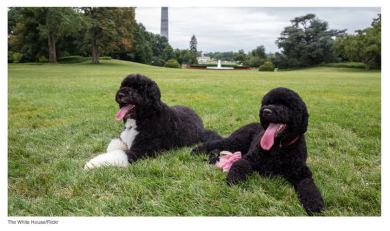 Exposed: Obama Image Machine Won't Let Press Take Flattering Photos