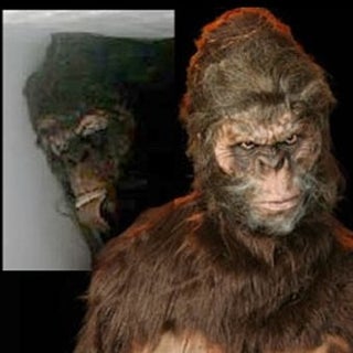 Bigfoot Conference Verdict: Big Fat Hoax