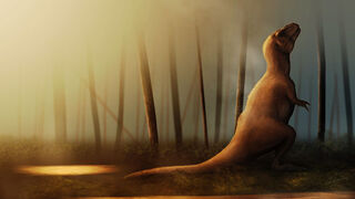 Here Is a Magnificent Feathered Dinosaur