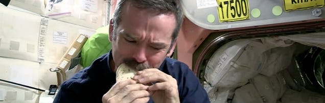 Why astronauts eat tortillas in space explained in one comic