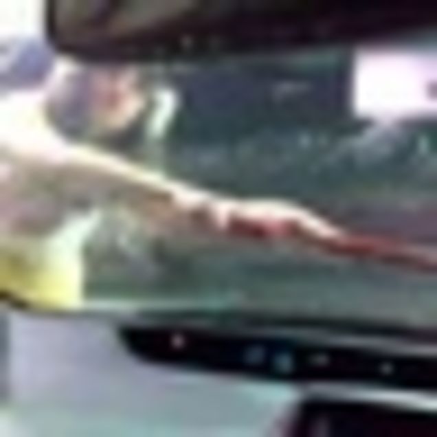 Chris Brown Likes Gay Fans But Not Gay Sex