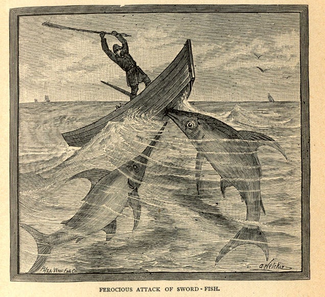 This gruesome 1889 biology book outlined the many ways animals will kill us