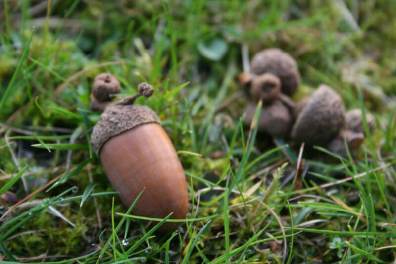 The Wrong Way to Plan for the Future