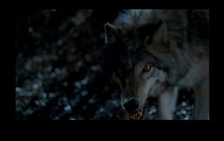 True Blood: "Conscience Off, Dick On"