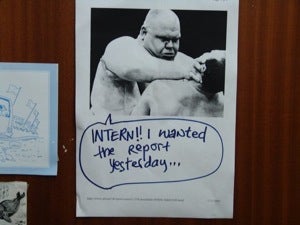 Should We Give Tao Lin's Intern a Job?