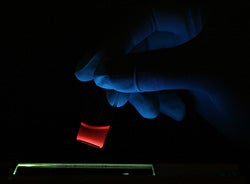Targeted "Nano-Missiles" in Your Bloodstream Make You Tumor-Proof