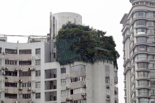 China's Jungle in the Sky Is a Rooftop Camouflage Fail