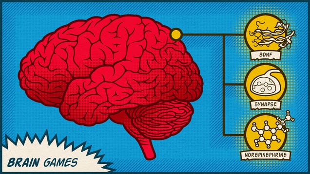 Why Your Brain and Body Want You to Get Fit